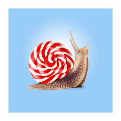 variant-30x30_with-margin