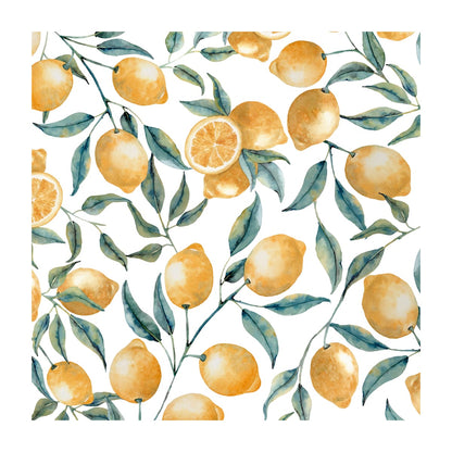 variant-30x30_with-margin