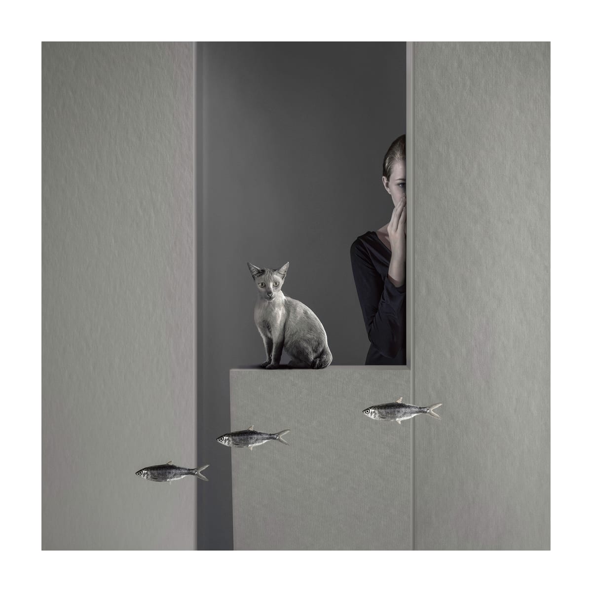 variant-30x30_with-margin