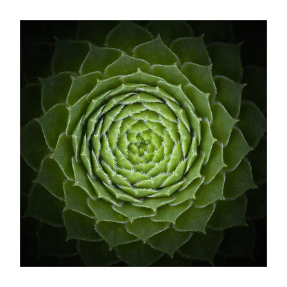 variant-30x30_with-margin