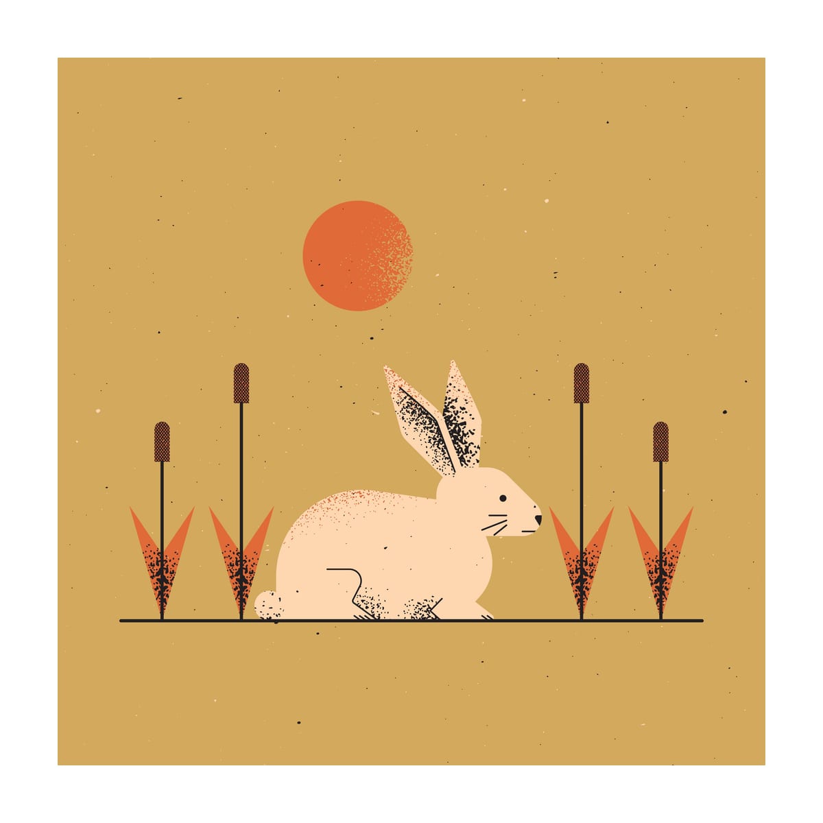 variant-30x30_with-margin
