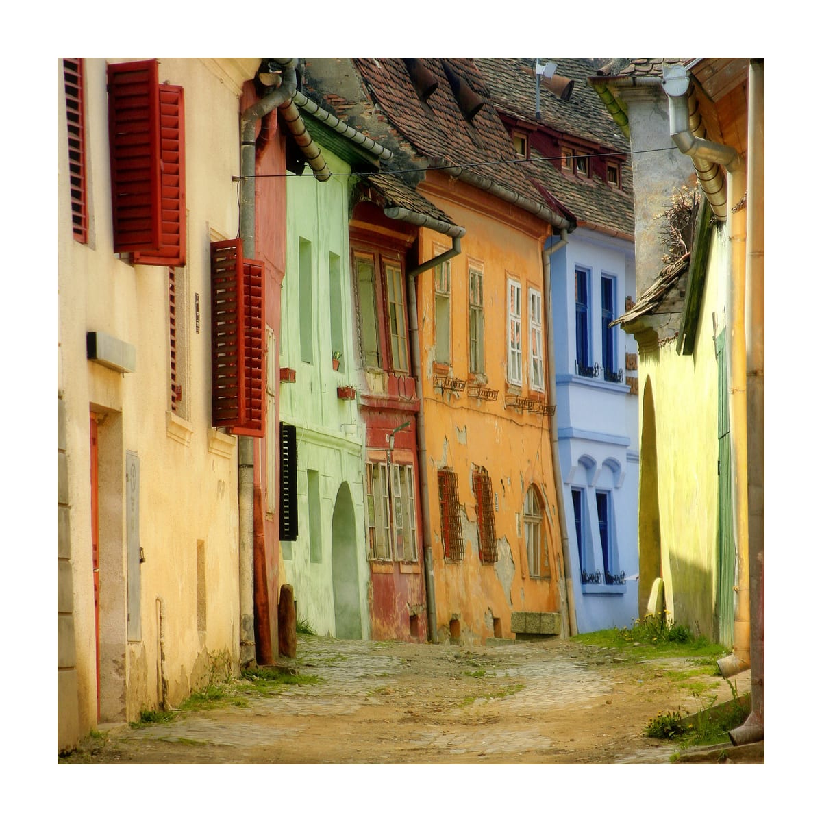 variant-30x30_with-margin