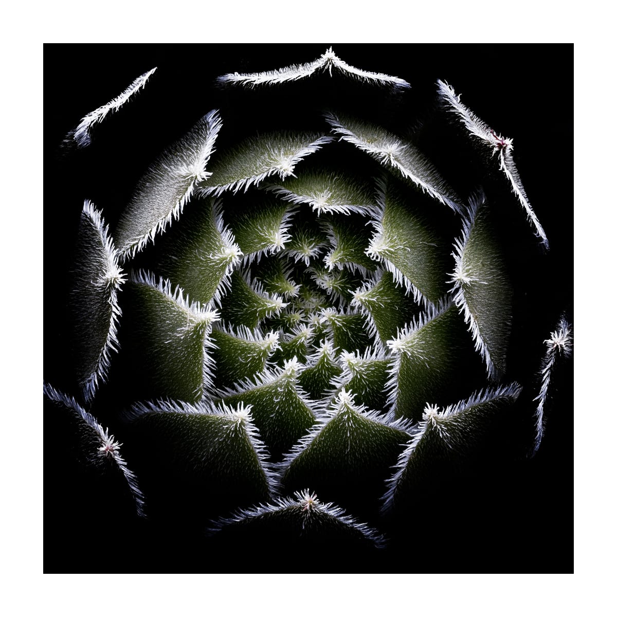 variant-30x30_with-margin