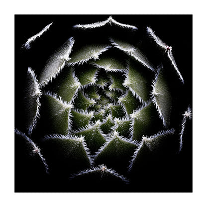 variant-30x30_with-margin