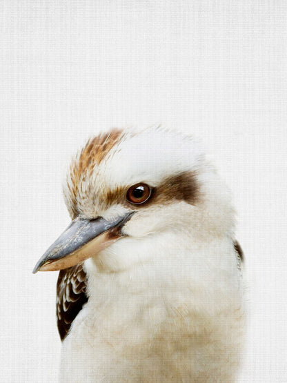variant-30x40_no-margin