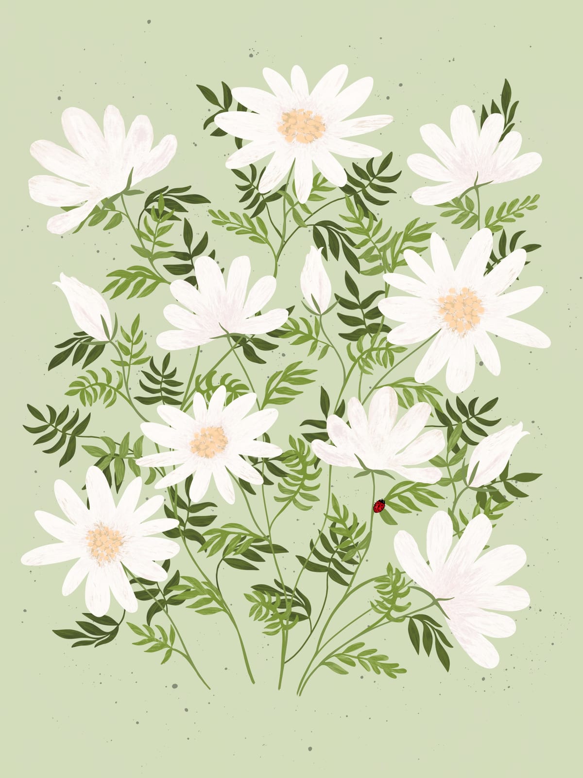 variant-30x40_no-margin