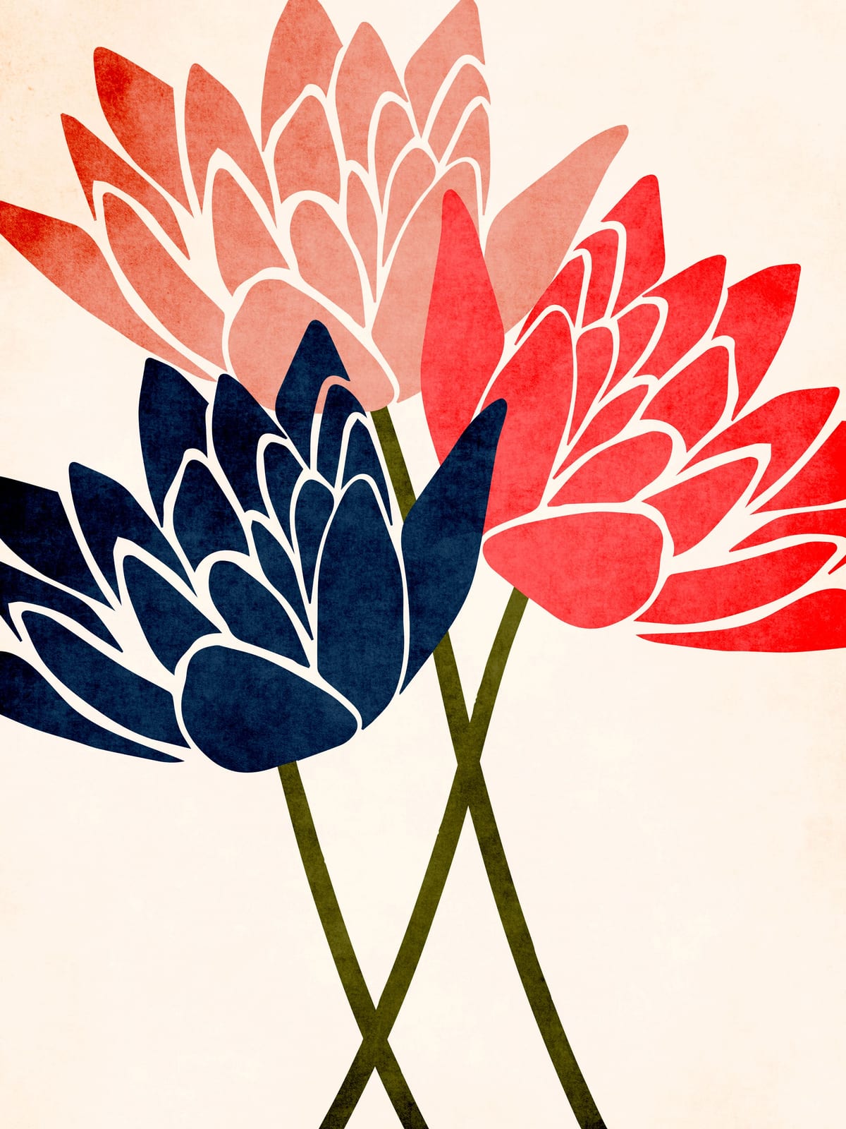 variant-30x40_no-margin