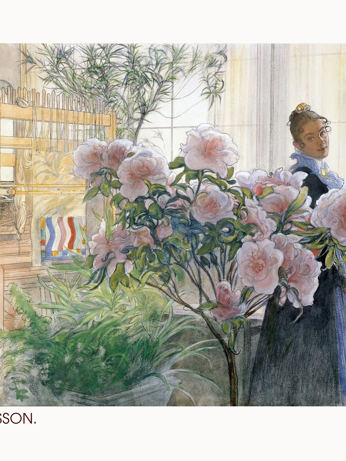 variant-30x40_no-margin
