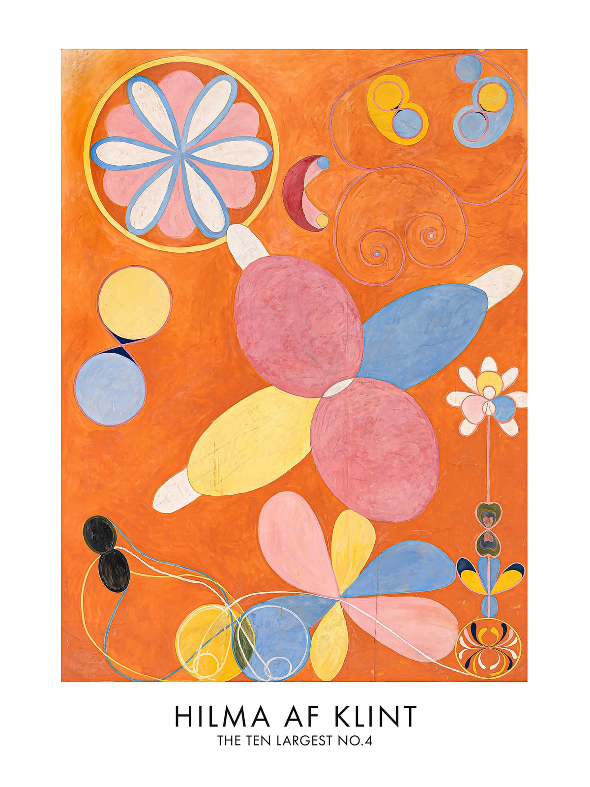 variant-30x40_no-margin