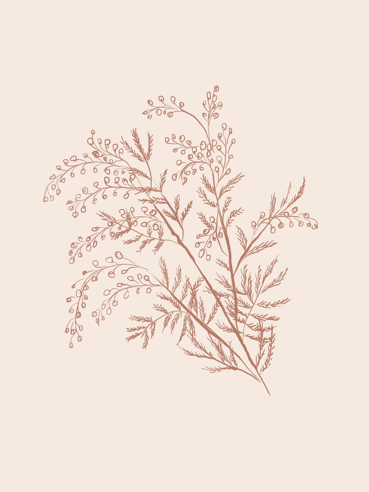 variant-30x40_no-margin
