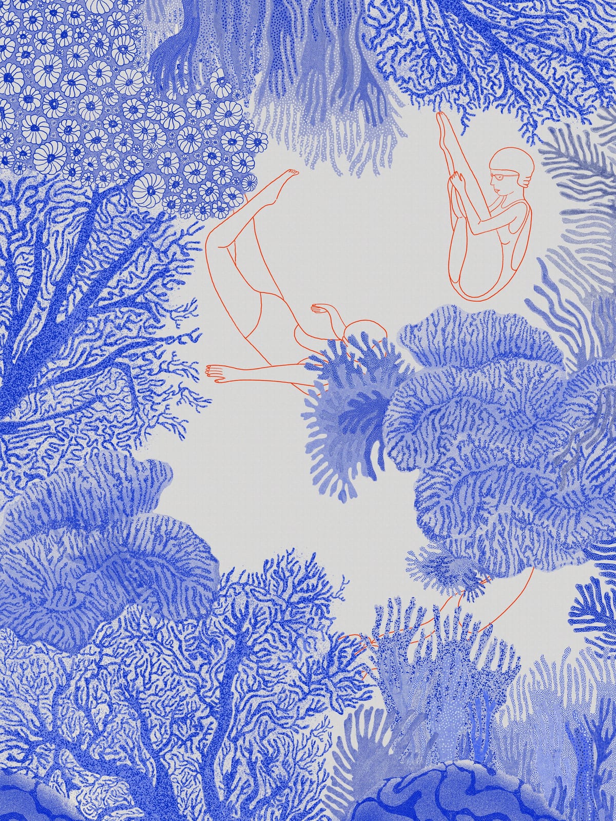 variant-30x40_no-margin
