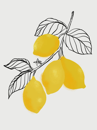 variant-30x40_no-margin
