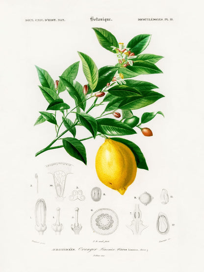 variant-30x40_no-margin