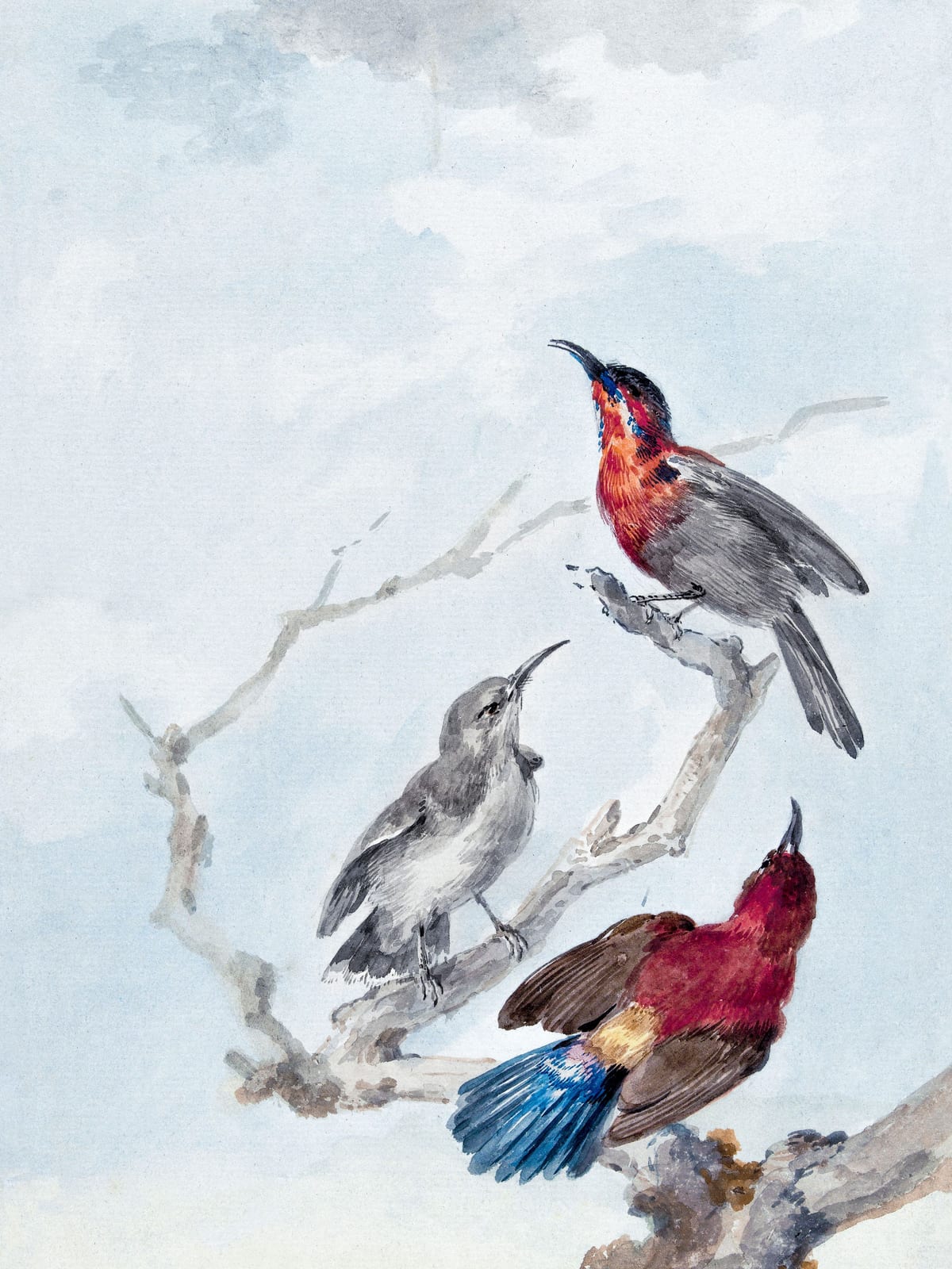 variant-30x40_no-margin
