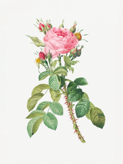 variant-30x40_no-margin