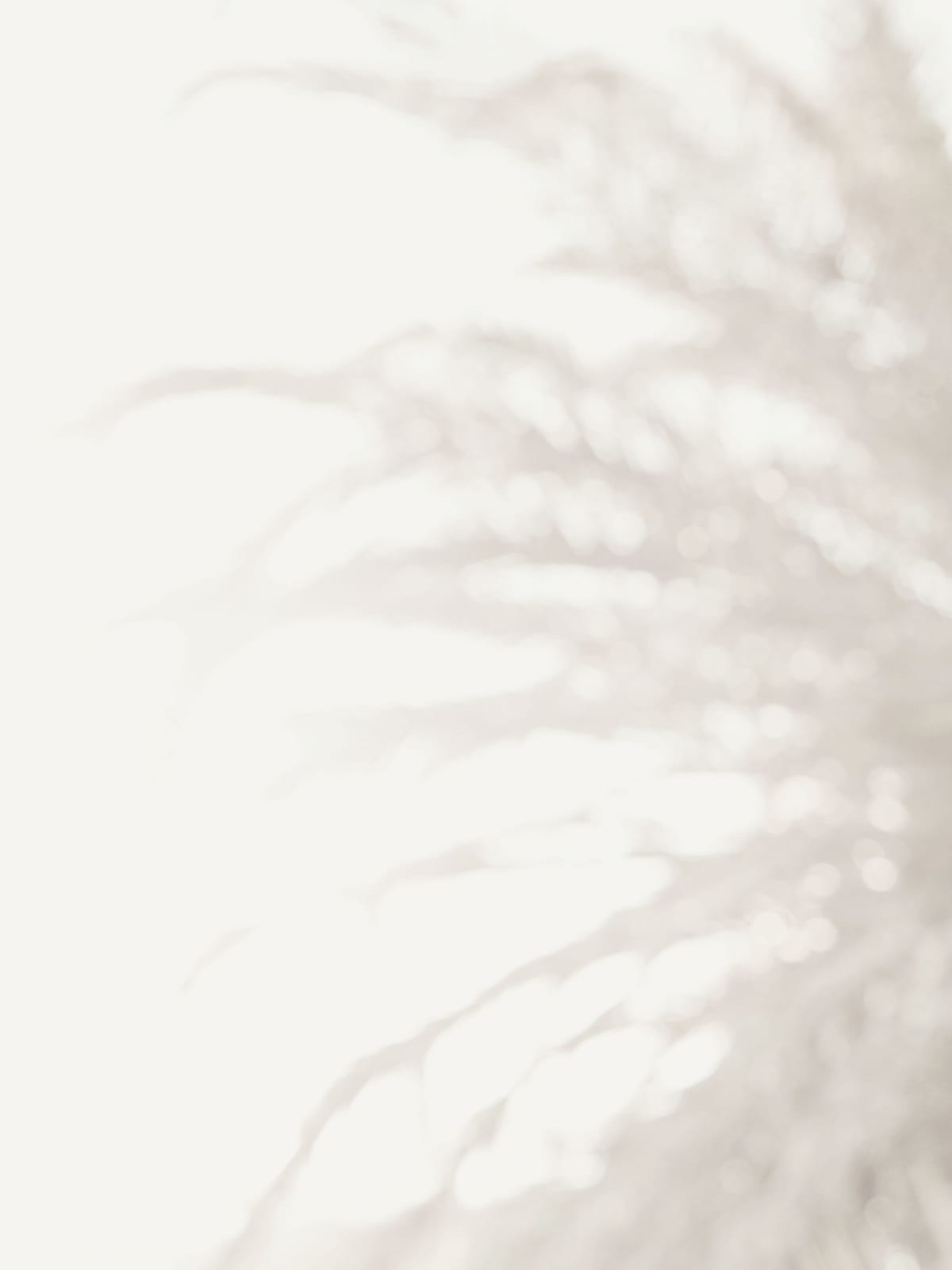 variant-30x40_no-margin