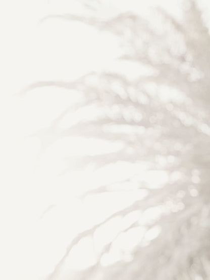 variant-30x40_no-margin