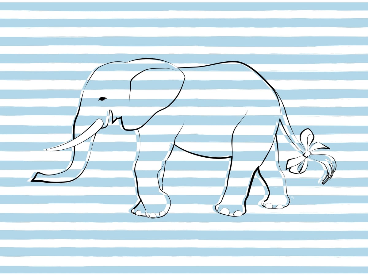 variant-30x40_no-margin