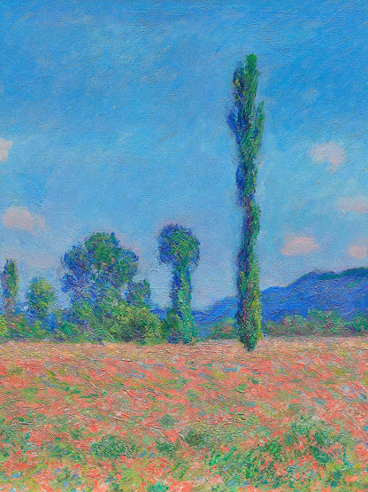 variant-30x40_no-margin