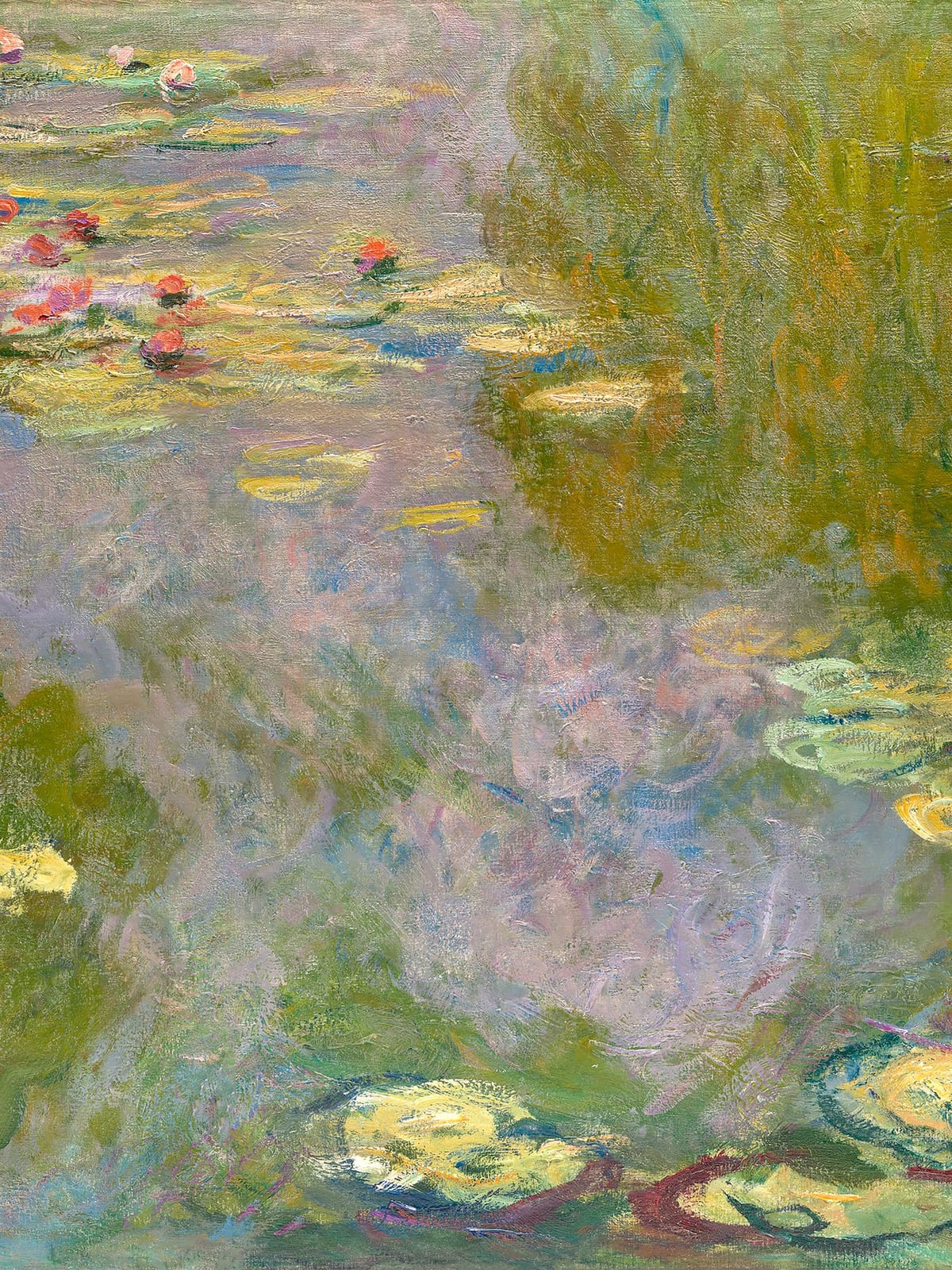 variant-30x40_no-margin