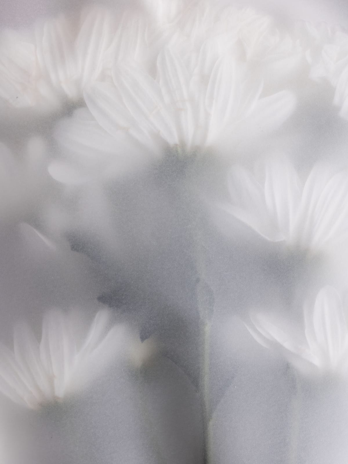 variant-30x40_no-margin