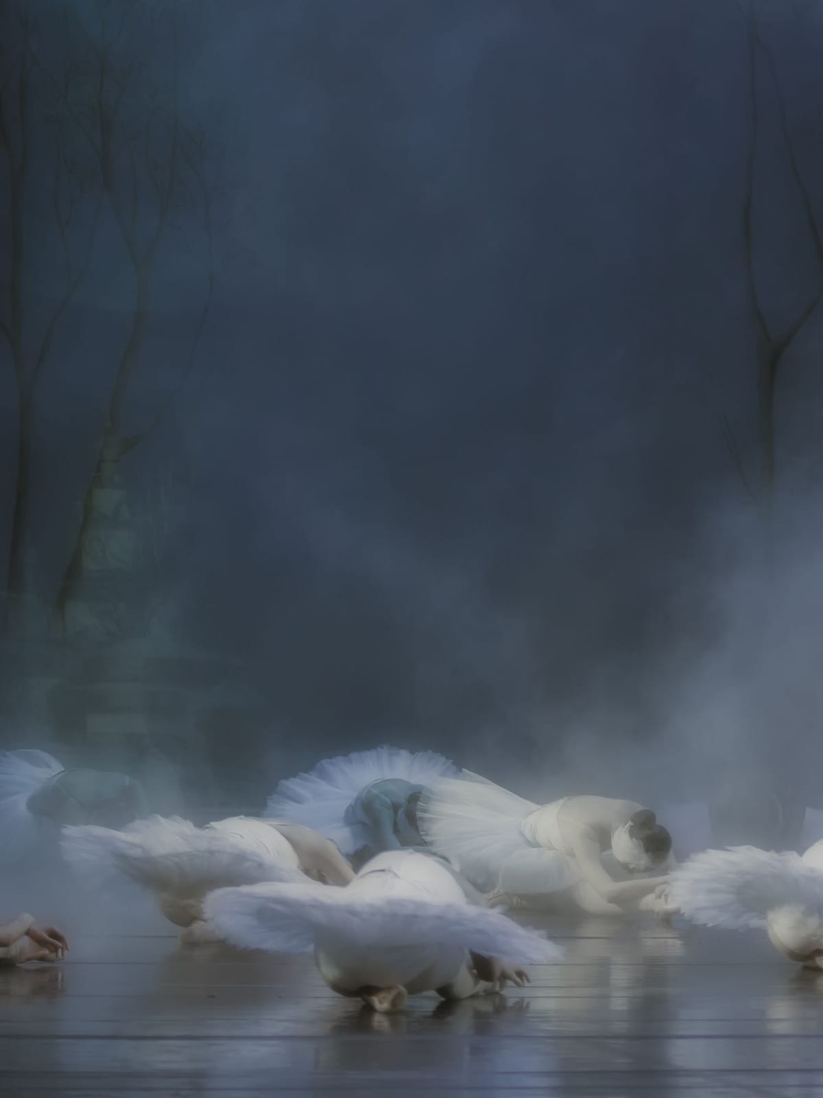 variant-30x40_no-margin