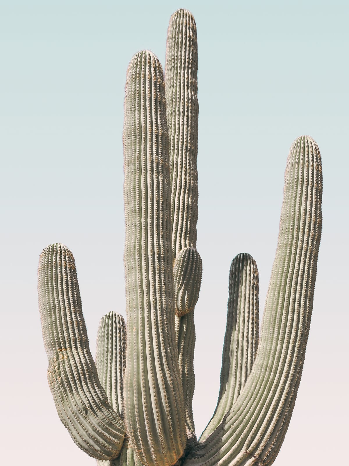 variant-30x40_no-margin