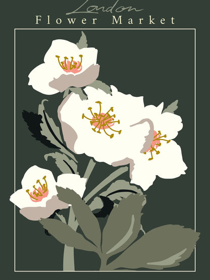 variant-30x40_no-margin
