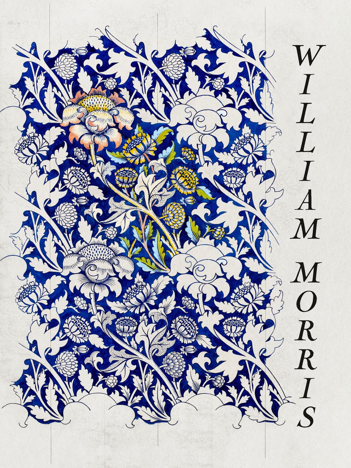 variant-30x40_no-margin