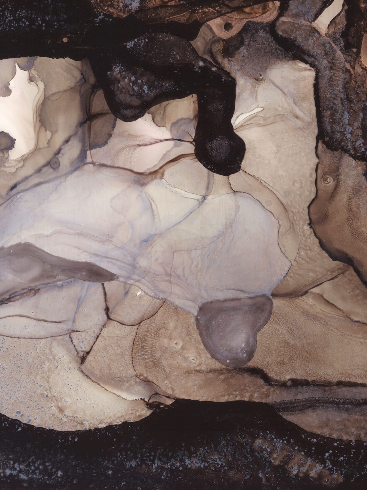 variant-30x40_no-margin