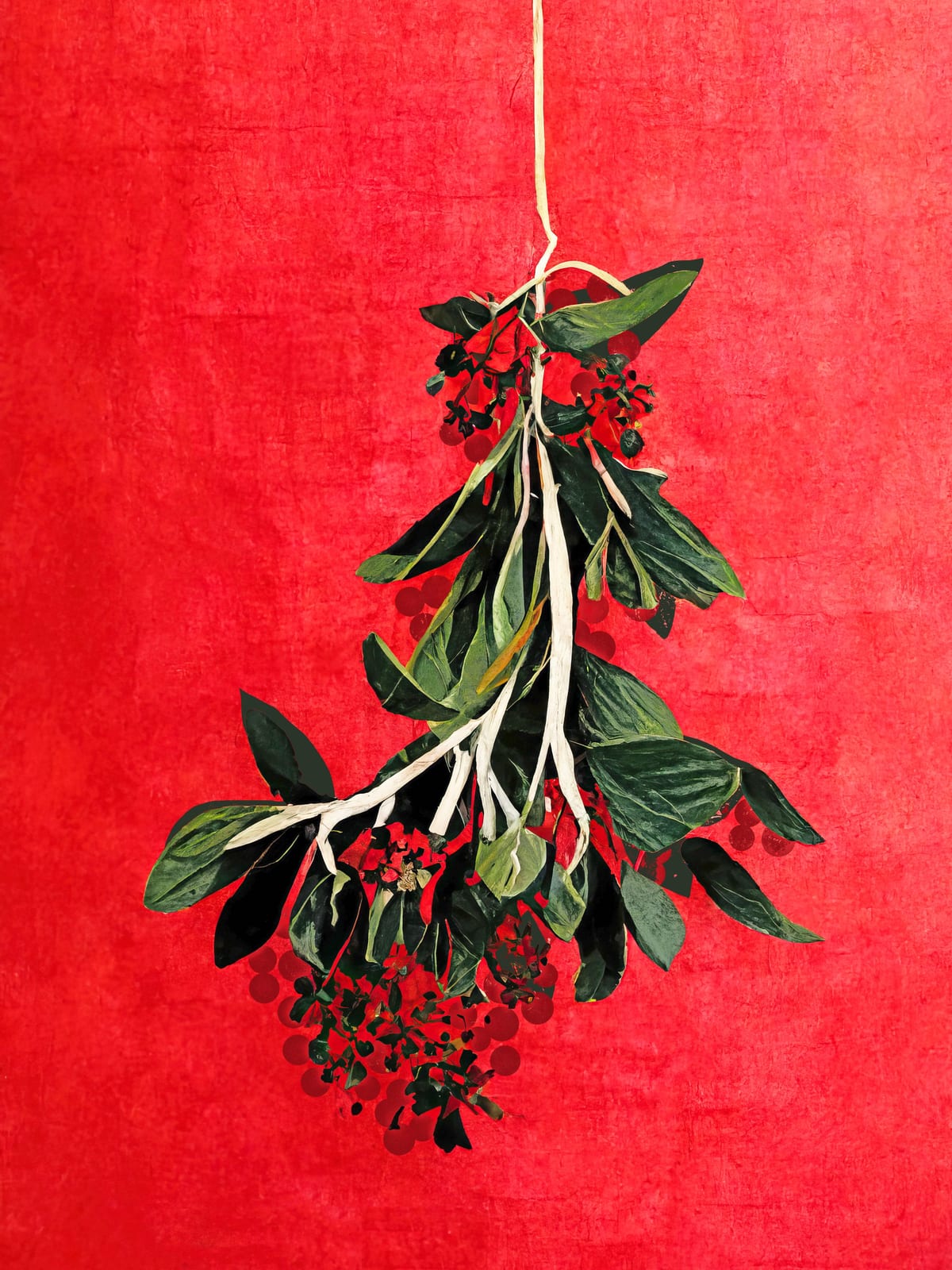 variant-30x40_no-margin