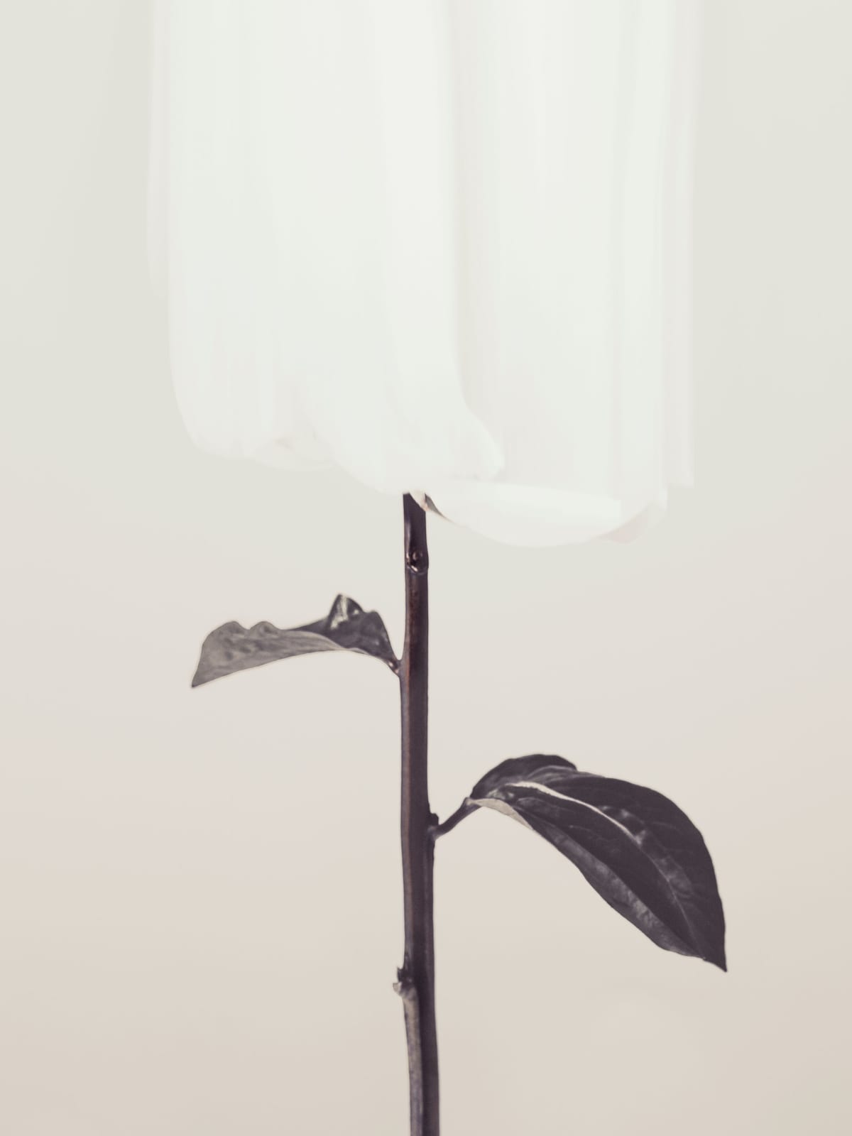 variant-30x40_no-margin