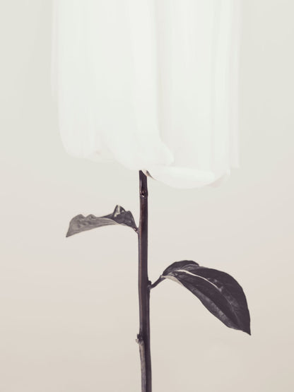 variant-30x40_no-margin