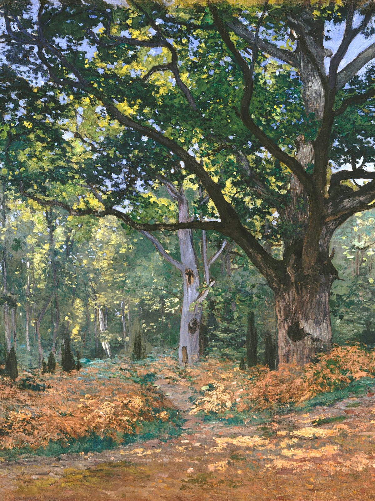variant-30x40_no-margin