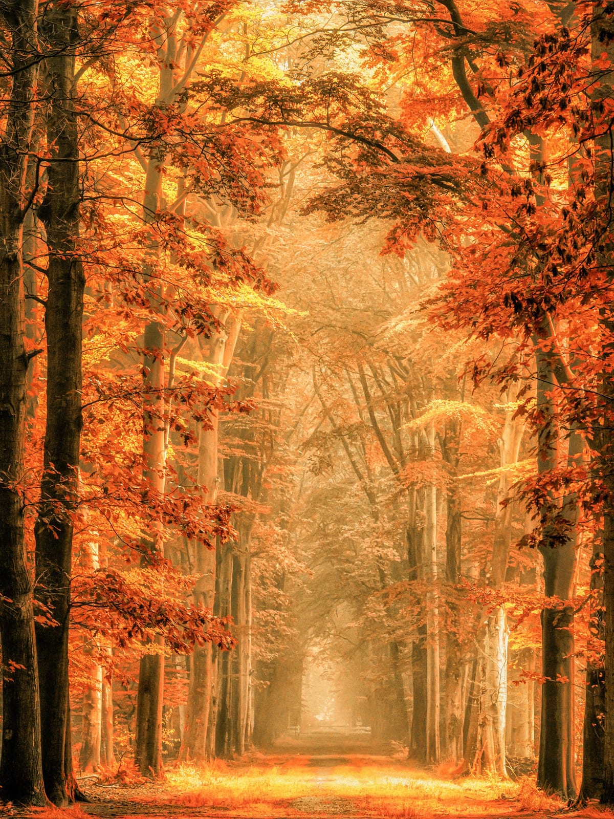variant-30x40_no-margin
