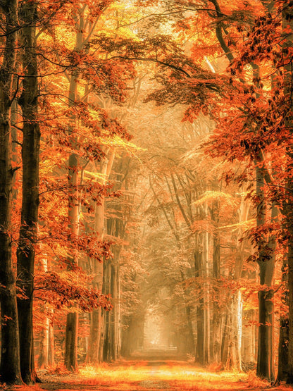variant-30x40_no-margin