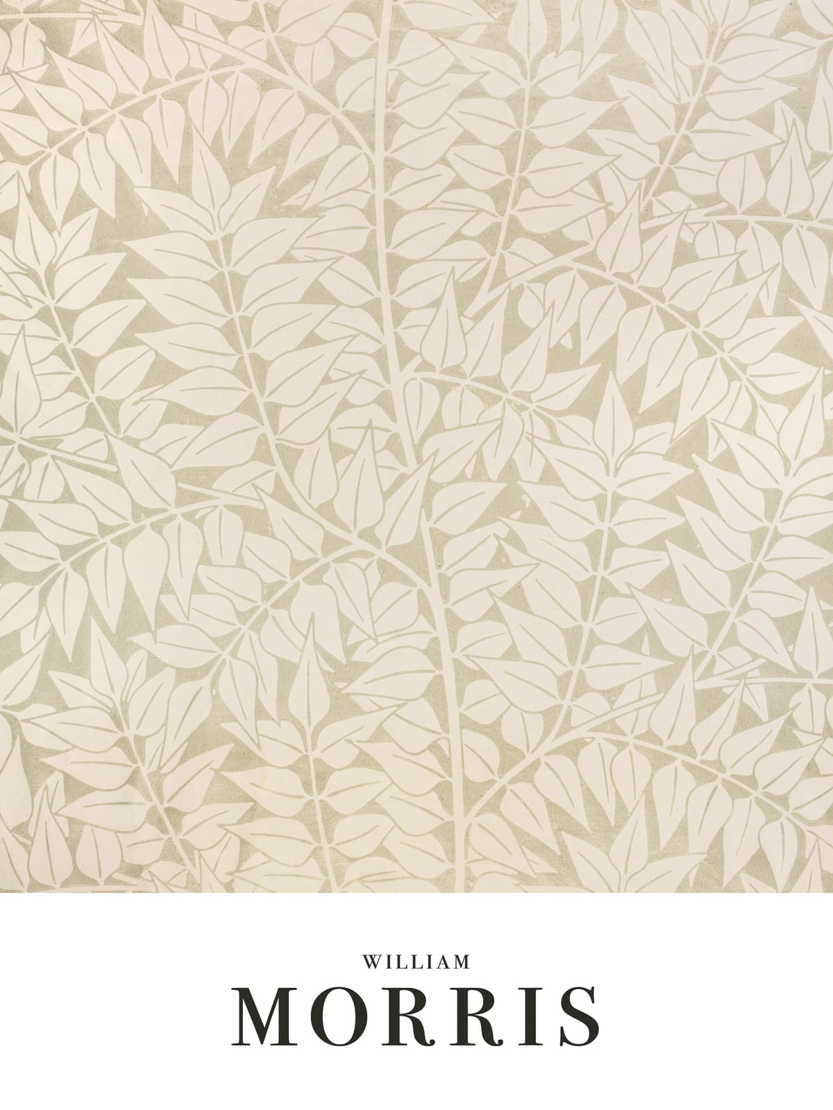 variant-30x40_no-margin