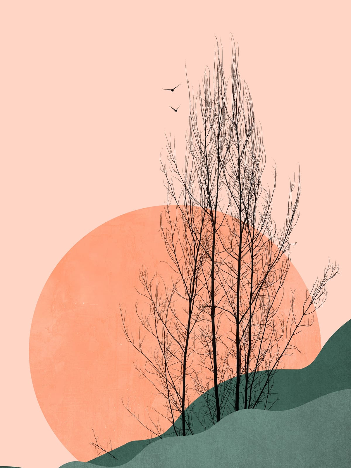variant-30x40_no-margin