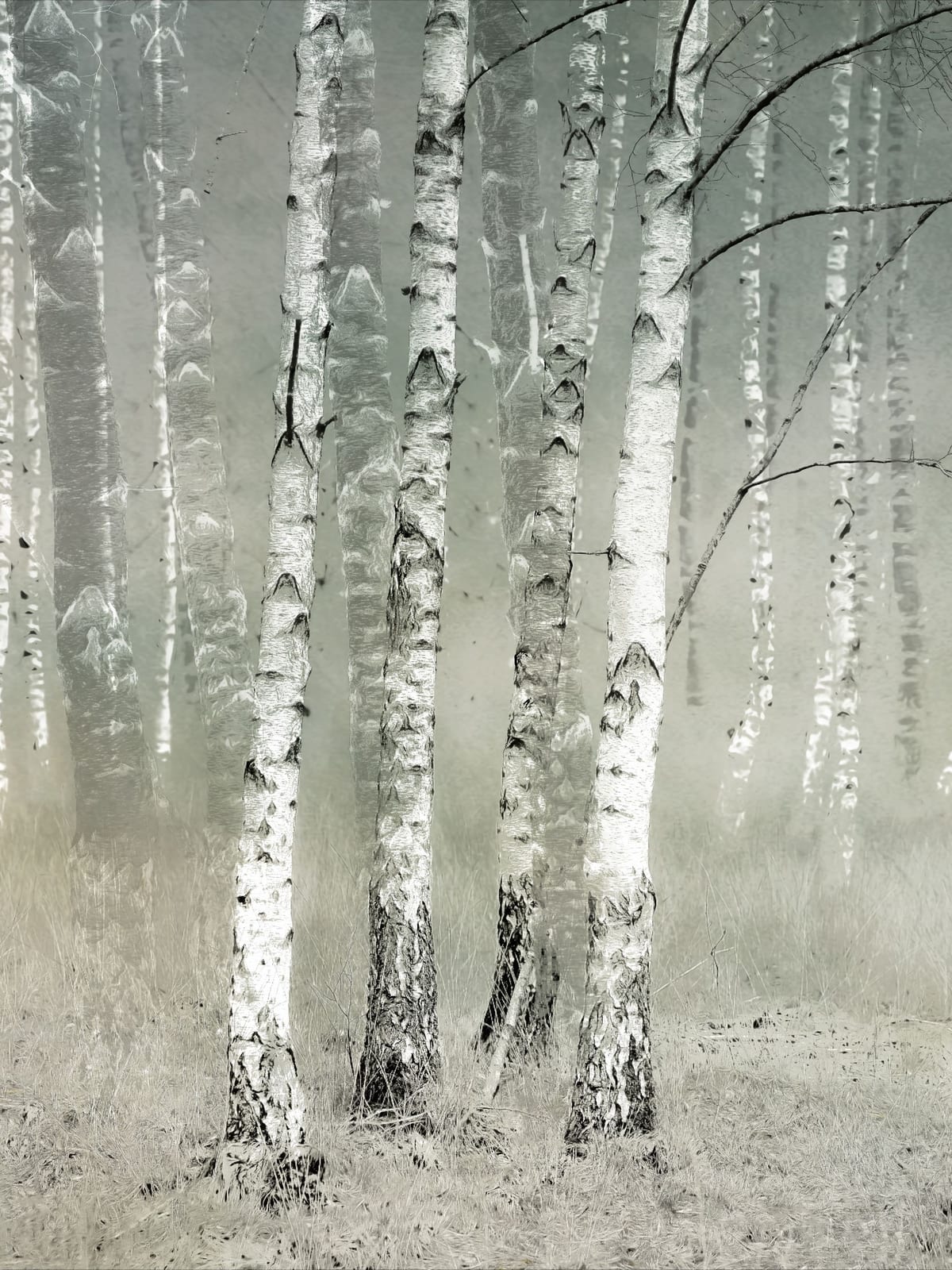 variant-30x40_no-margin