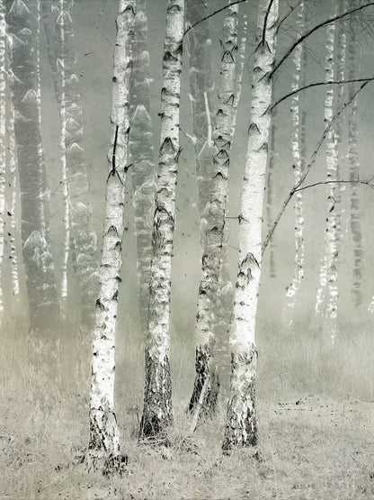 variant-30x40_no-margin