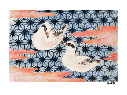 variant-30x40_no-margin