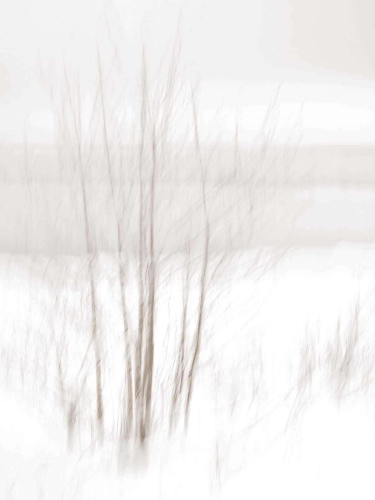variant-30x40_no-margin