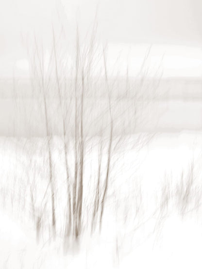 variant-30x40_no-margin