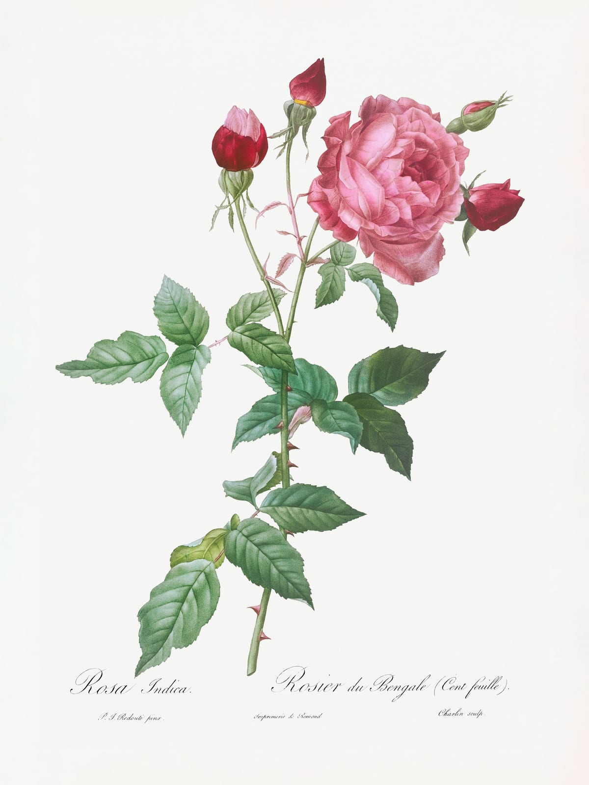 variant-30x40_no-margin