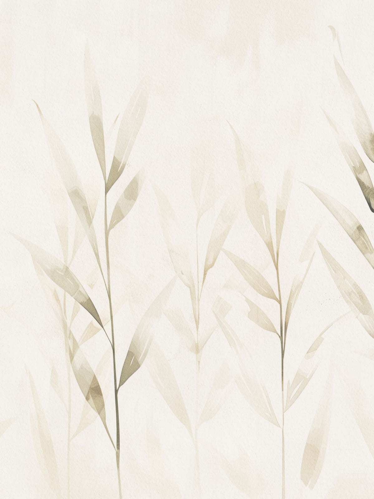 variant-30x40_no-margin
