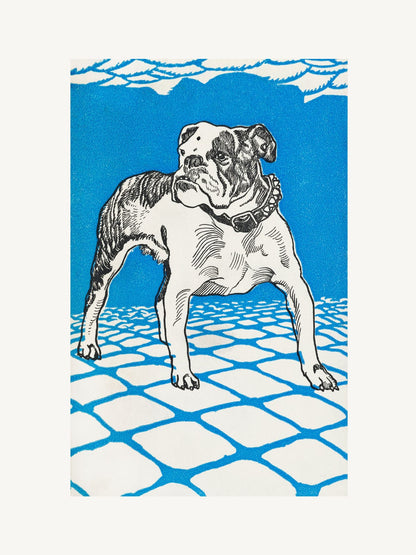 variant-30x40_no-margin