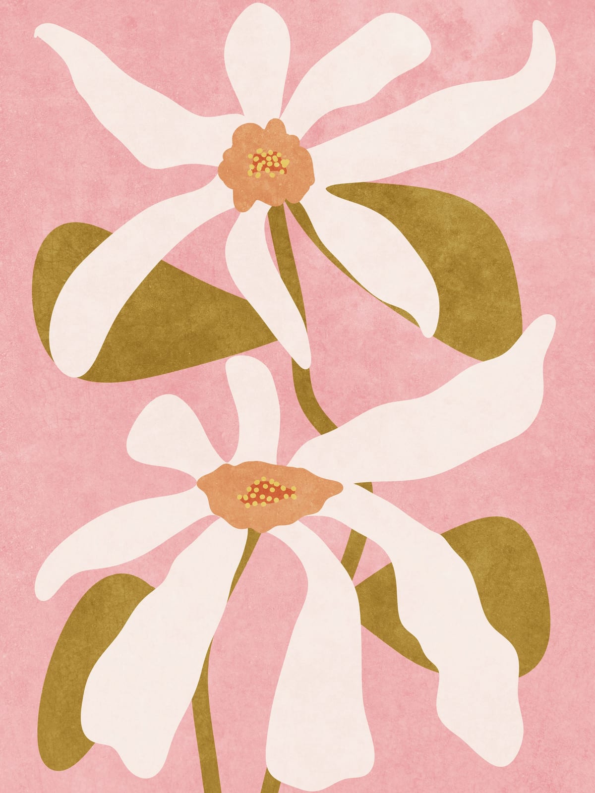 variant-30x40_no-margin