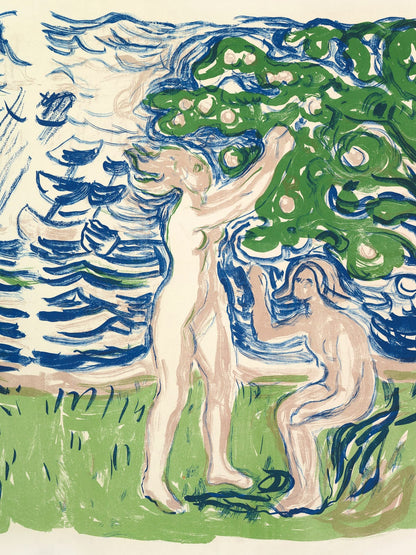 variant-30x40_no-margin