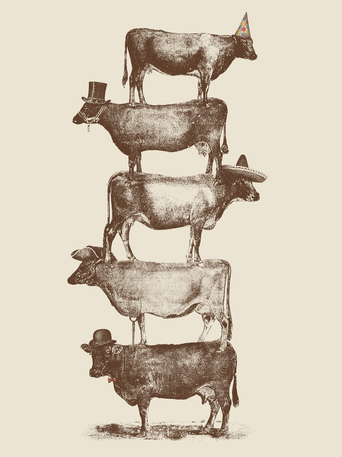 variant-30x40_no-margin