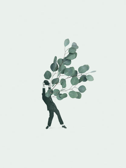 variant-30x40_no-margin